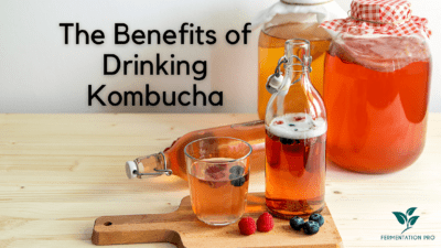 The Benefits of Drinking Kombucha cover
