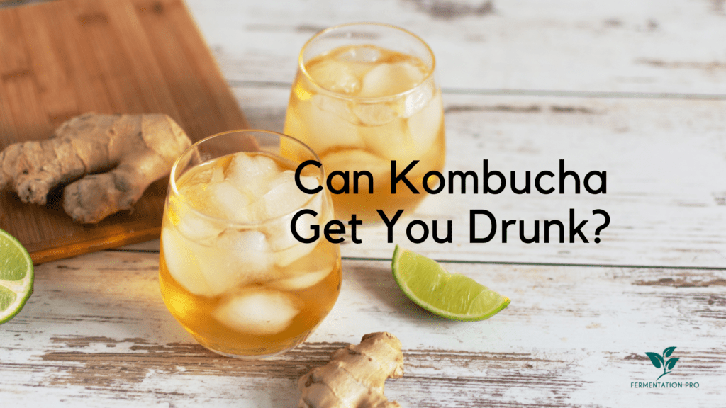 Can Kombucha Get You Drunk? Blog Cover