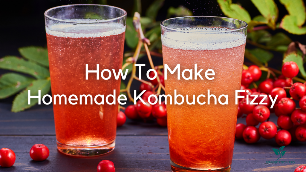 How To Make Homemade Kombucha Fizzy Blog Cover