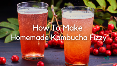 How To Make Homemade Kombucha Fizzy Blog Cover