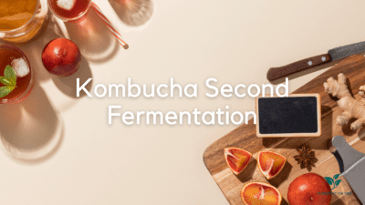 Kombucha Second Fermentation Blog Cover