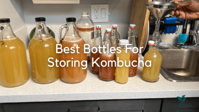 Best Bottles For Storing Kombucha Blog Cover