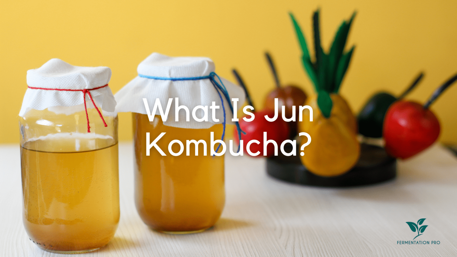 what-is-jun-kombucha-fermentation-pro