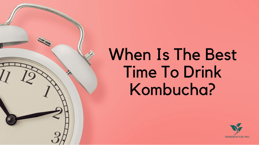 When Is The Best Time To Drink Kombucha? Blog Cover