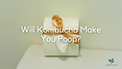 Will Kombucha Make You Poop? Blog Cover