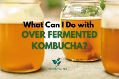 What Can I Do with Over Fermented Kombucha?