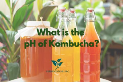 What Is the pH of Kombucha?