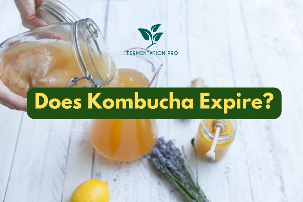 Does Kombucha Expire?