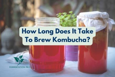 How Long Does It Take To Brew Kombucha