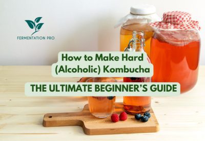 How to Make Hard (Alcoholic) Kombucha - The Ultimate Beginner’s Guide