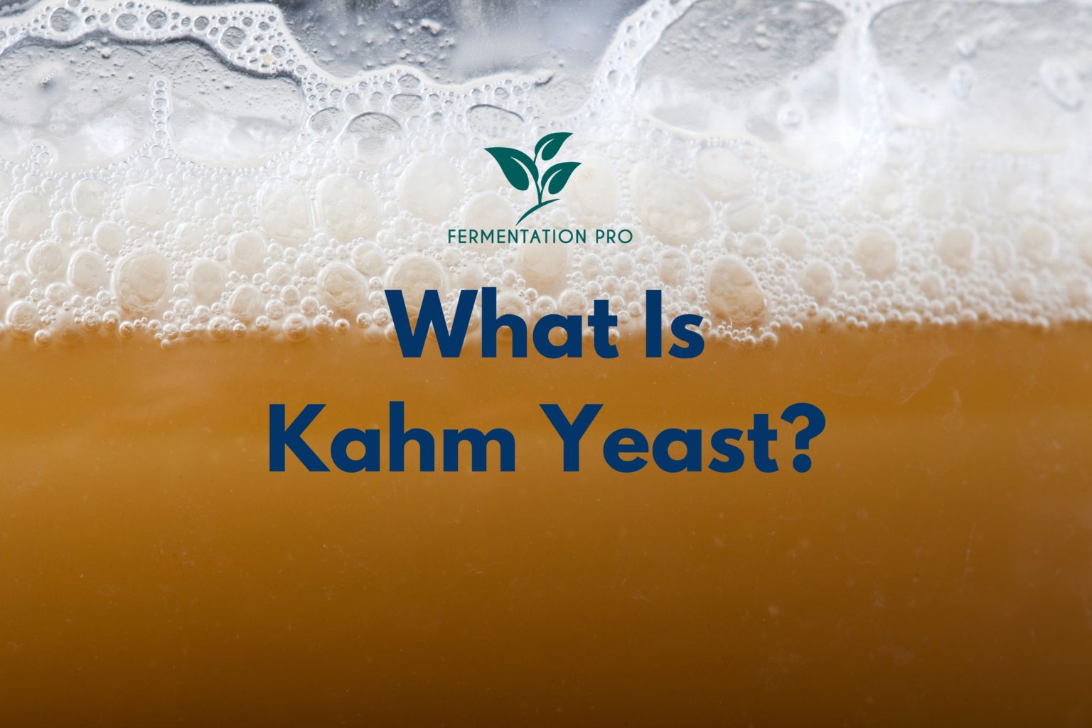 What Is Kahm Yeast?