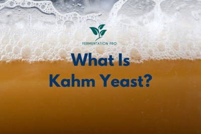 What Is Kahm Yeast