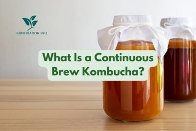 Where Should You Brew Kombucha?