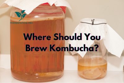 Where Should You Brew Kombucha?