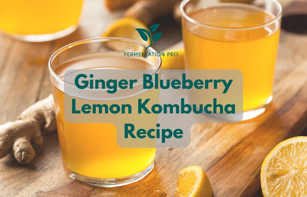 Ginger Blueberry Lemon Kombucha Recipe