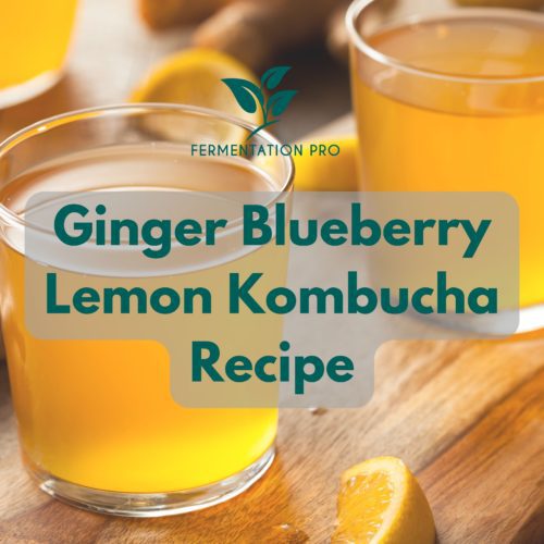 Ginger Blueberry Lemon Kombucha Recipe