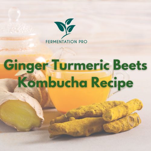 Ginger Turmeric Beets Kombucha Recipe