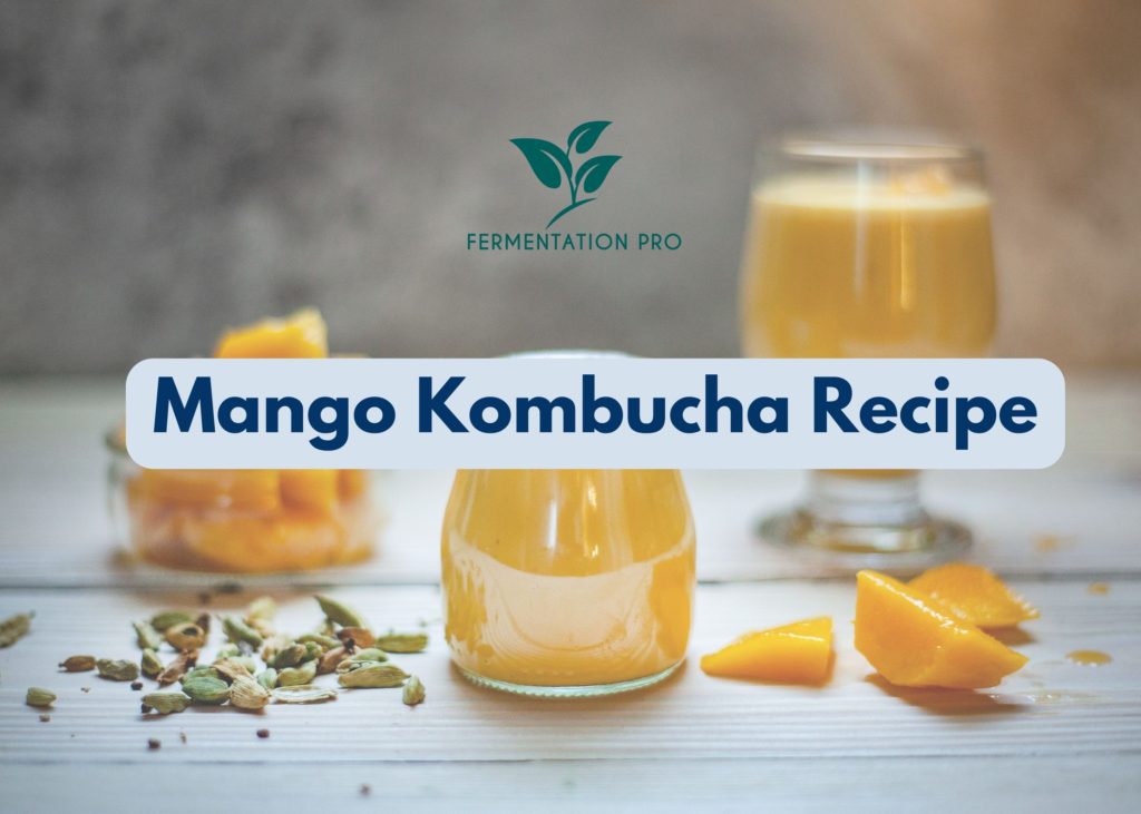 Mango Kombucha Recipe