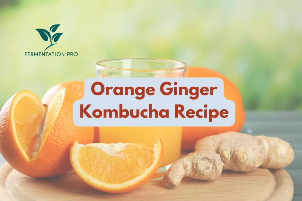 Orange Ginger Kombucha Recipe