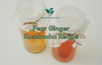 Pear Ginger Kombucha Recipe