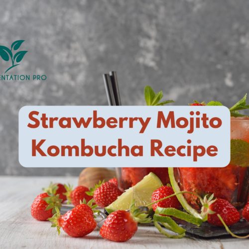 Strawberry Mojito Kombucha Recipe