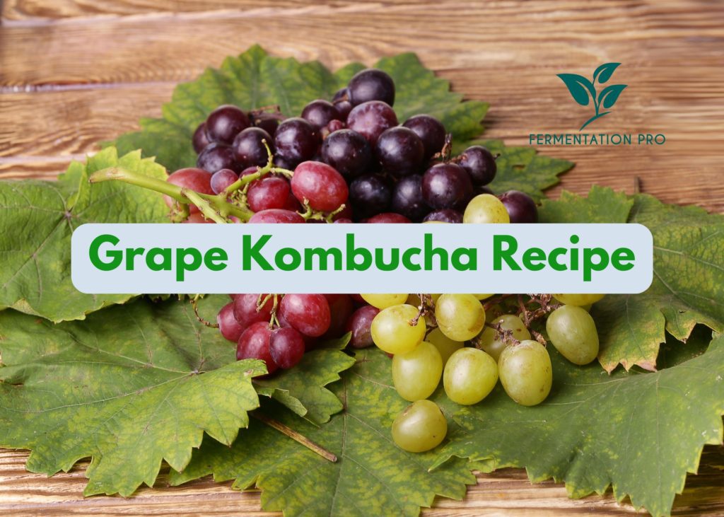 Grape Kombucha Recipe