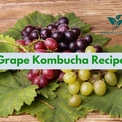 Grape Kombucha Recipe