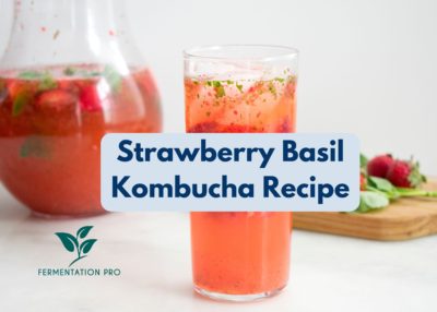 Strawberry Basil Kombucha Recipe