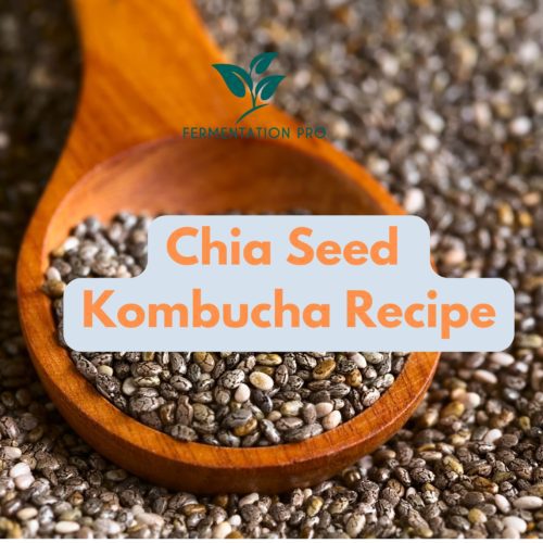 Chia Seed Kombucha Recipe