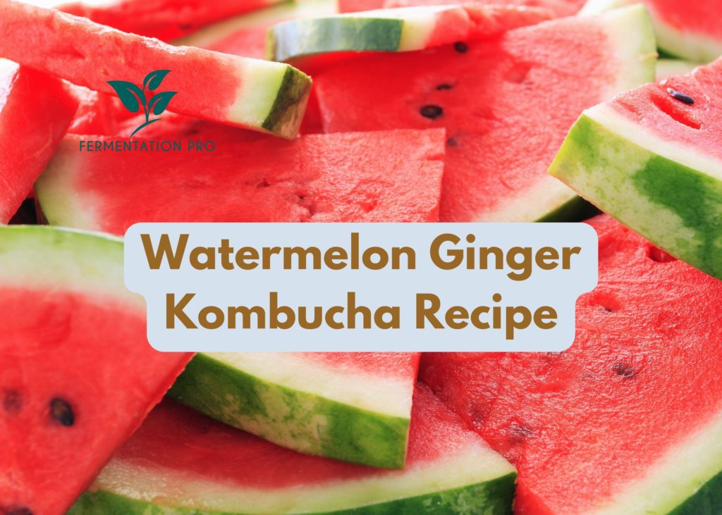 Watermelon Ginger Kombucha Recipe