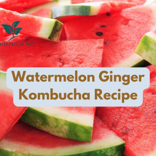 Watermelon Ginger Kombucha Recipe