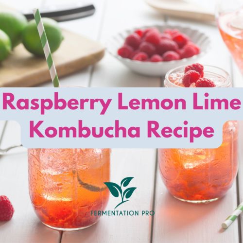 Raspberry Lemon Lime Kombucha Recipe