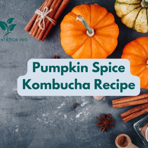 Pumpkin Spice Kombucha Recipe