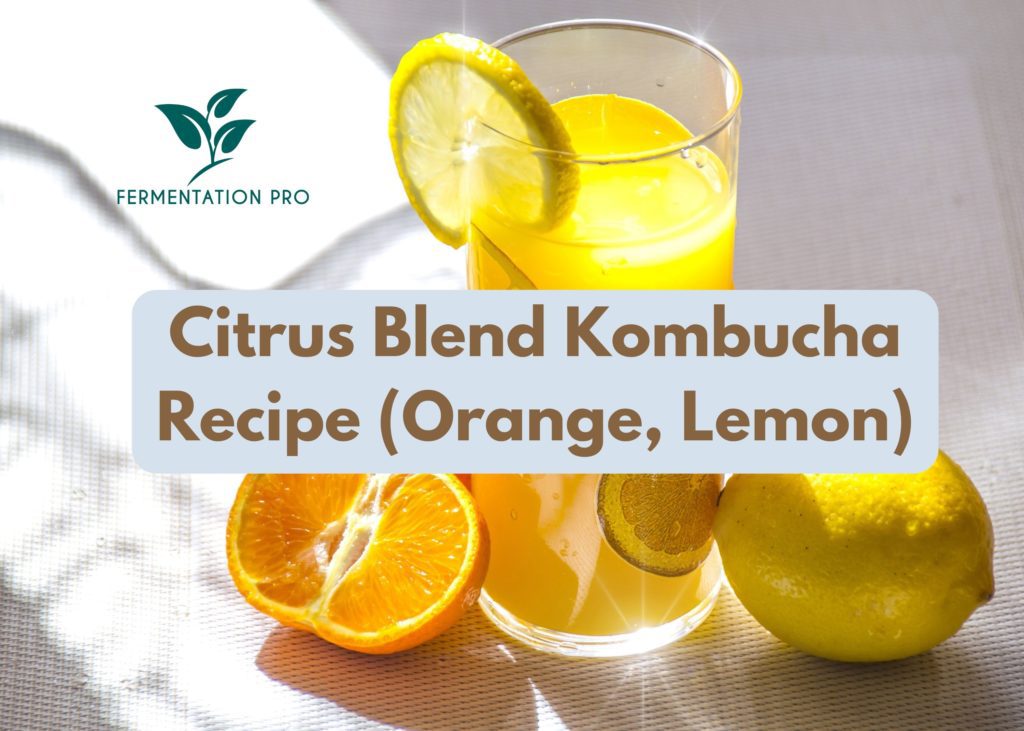 Citrus Blend Kombucha Recipe