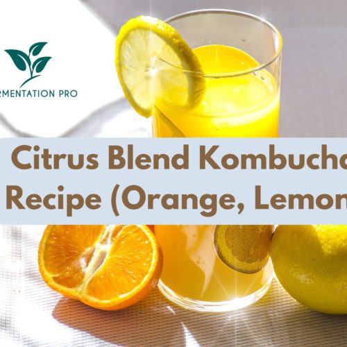 Citrus Blend Kombucha Recipe