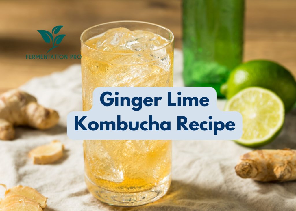 Ginger Lime Kombucha Recipe