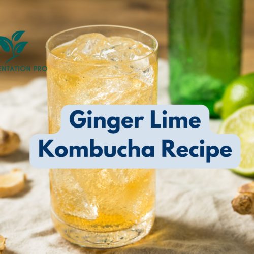 Ginger Lime Kombucha Recipe