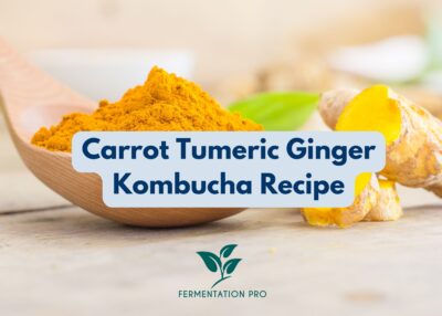 Carrot Tumeric Ginger Kombucha Recipe