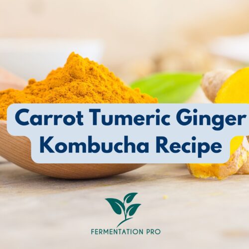 Carrot Tumeric Ginger Kombucha Recipe