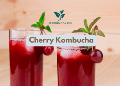 Cherry Kombucha Recipe