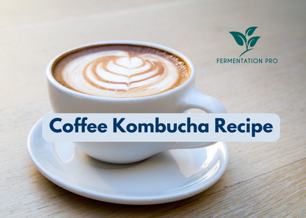 Coffee Kombucha Recipe