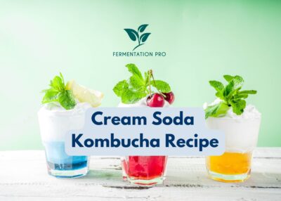 Cream Soda Kombucha Recipe