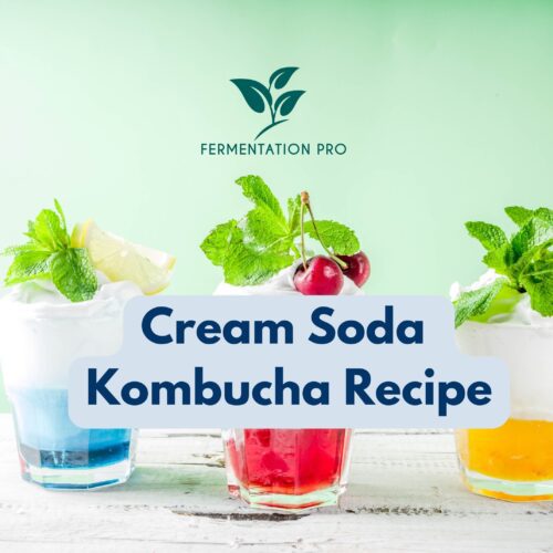 Cream Soda Kombucha Recipe