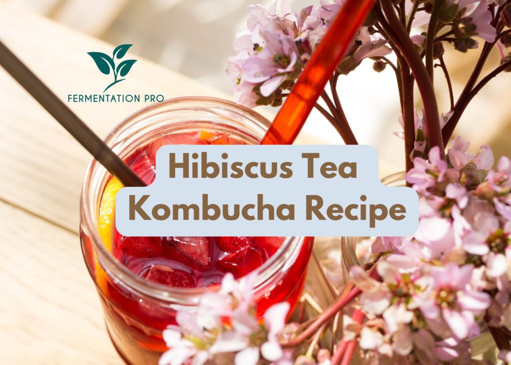 Hibiscus Tea Kombucha Recipe