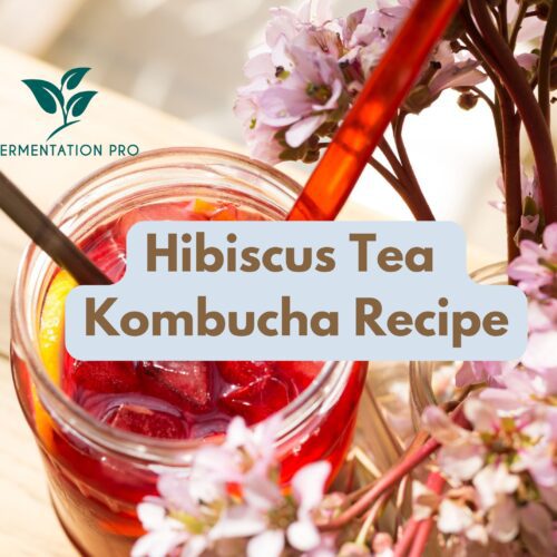 Hibiscus Tea Kombucha Recipe