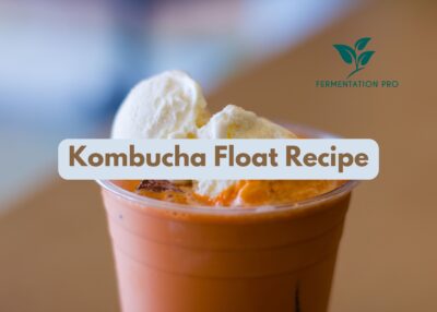 Kombucha Float Recipe