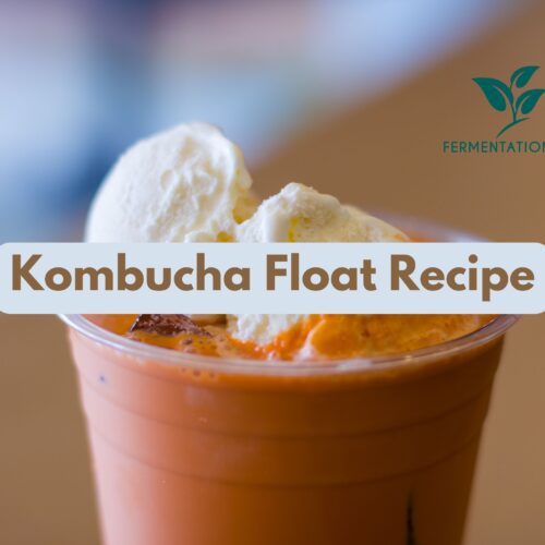 Kombucha Float Recipe