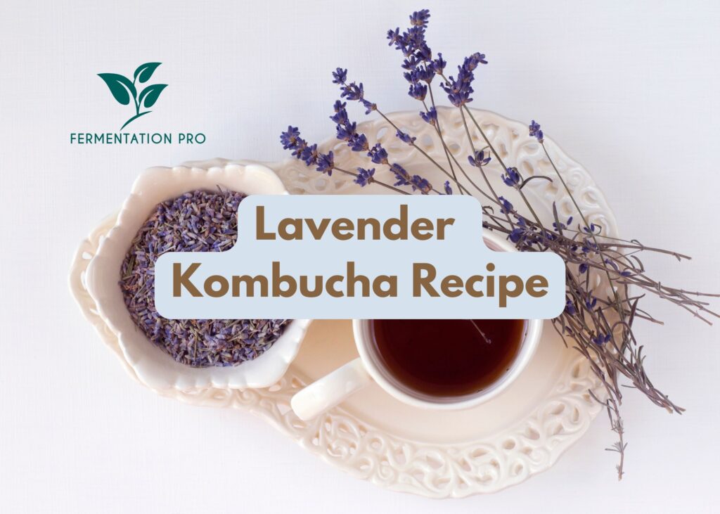 Lavender Kombucha Recipe