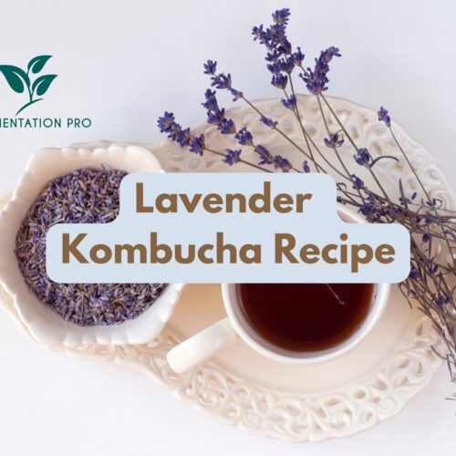 Lavender Kombucha Recipe