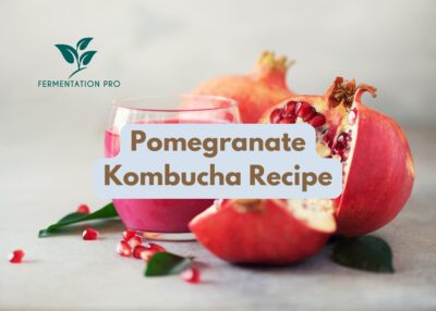 Pomegranate Kombucha Recipe